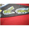 Image 4 : NATIONAL AIR AND SPACE MUSEUM PENNANT