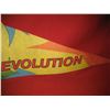 Image 4 : SIXFLAGS ~ REVOLUTION PARK RIDE PENNANT