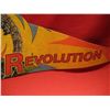 Image 5 : SIXFLAGS ~ REVOLUTION PARK RIDE PENNANT