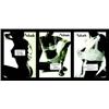 Image 1 : Lot de 3 Aubade   Lecon N°6 : S'il resiste, pratiquez l'hypnose/ Lecon N°43 : Testez ses resista...