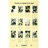 Image 1 : Parasites et maladies de la vigne   Mildiou sur feuille, araignee rouge, pyral de la vigne... Ph...