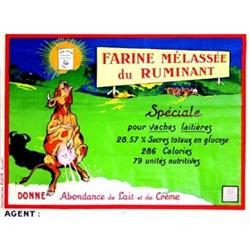 Farine melassee du ruminant   Speciale pour vaches laitieres 28,57 % sucres totaux en glucose 28...