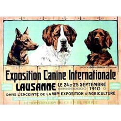 Exposition canine internationale - 1910 - Lausanne   Dans l'enceinte de la VIIIe exposition d'agr...