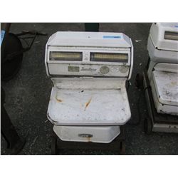 White Porcelain Scale