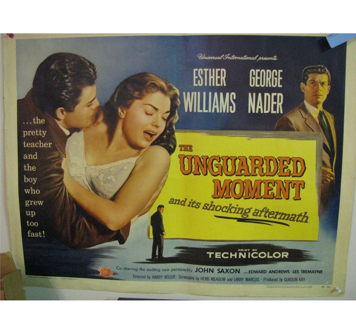 22 x 28 Inch Movie Poster