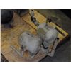 Image 1 : Lot of 2 Air Tanks, No Identifying Information