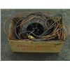 Image 1 : Lot of Extention Cords