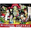 Image 1 : Bi-lessive vegetale  MOLOCH B. La Bi-lessive vegetale est l'occasion pour Moloch de mettre en sc...