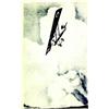 Image 1 : Newport en pique     1929  CARRE LUCIEN Signee en bas a gauche au crayon papier.      Gravu...