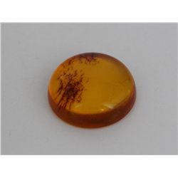 Natural Amber w/ Specimen