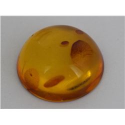 Natural Amber w/ Specimen