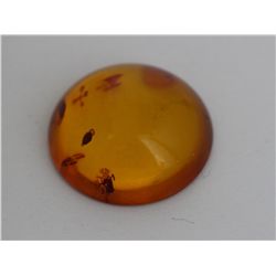 Natural Amber w/ Specimen