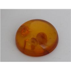 Natural Amber w/ Specimen
