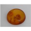 Image 1 : Natural Amber w/ Specimen