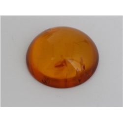 Natural Amber w/ Specimen