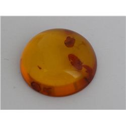 Natural Amber w/ Specimen