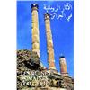 Image 1 : Les ruines romaines d'Algerie         Aff. N.E.    B.E.  B +  Petite dechirure dans la marge / Li...