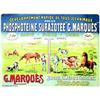 Image 1 : G. Marques       Toulouse (Haute-Garonne)   Developpement rapide de tous les animaux par la phos...