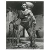 Image 2 : Steve Reeves