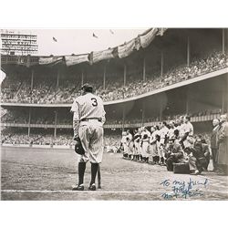 Babe Ruth: Nat Fein