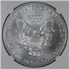 Image 3 : 2013 AMERICAN SILVER EAGLE, NGC MS-70   SUPER!!