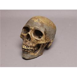 Painted Plastic Skull