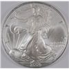 Image 1 : 2006 Silver American Eagle