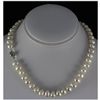 283.24ctw Philippine 10-11mm Freshwater Pearl Necklace