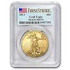 Image 1 : 2013 1 oz Gold American Eagle MS-70 PCGS First Strike