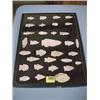Image 1 : Tray of Native American Points...