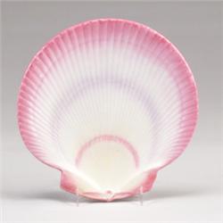 WEDGWOOD Queens ware shell service plate, circa 1890, naturalistically modeled and painted in sha…