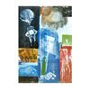 Image 1 : Robert Rauschenberg Art Print Retroactive I w/ Kennedy