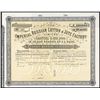 Image 1 : Imperial Russian Cotton & Jute Factory Ltd. Specimen Stock.