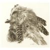 Image 2 : Paul Calle, graphite