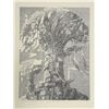 Image 1 : Wojtek Kowalczyk, Paper Tree, Lithograph