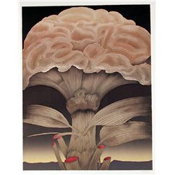 Alain Le Foll, Mushroom, Lithograph