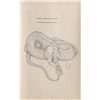 Image 2 : Michelle Rollman, The Snake Pit, Drawing on Printed Paper
