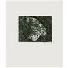 Image 1 : Steve Baron, Straw Hat in the Grass, Photograph