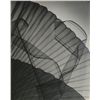 Image 1 : Rowena Fruth, Design 7, Photograph