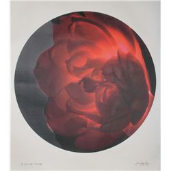 Jonathan Singer, Flower in Circle, Digital Photograph