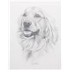 Image 1 : Rex Flood, Golden Retriever, Drawing