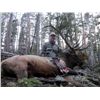 Image 1 : *Wyoming -5 Day - Rocky Mountain Elk Hunt for One Hunter