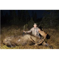 *Newfoundland - 5 Day - Eastern Canada Moose and Black Bear Hunt for One Hunter