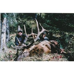 *L-12 British Columbia - 10 Day- Rocky Mountain Elk Hunt One Hunter