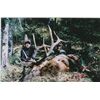 Image 1 : *L-12 British Columbia - 10 Day- Rocky Mountain Elk Hunt One Hunter