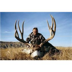 *Alberta - 6 Day - Mountain Mule Deer for One Hunter