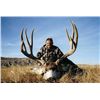 Image 1 : *Alberta - 6 Day - Mountain Mule Deer for One Hunter