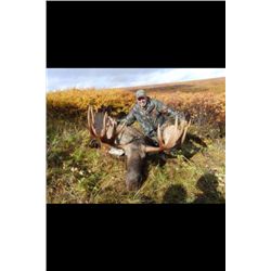 Alaska – 7 Day – Alaska/Yukon Moose Hunt for One Hunter