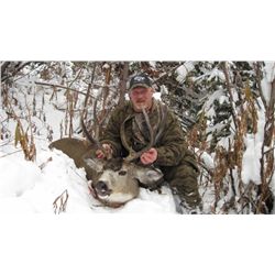 British Columbia – 7 Day – Mule Deer Hunt for Two Hunters