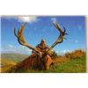 Image 1 : *New Zealand - 4 Day - Silver Medal - Red Stag Hunt for One Hunter